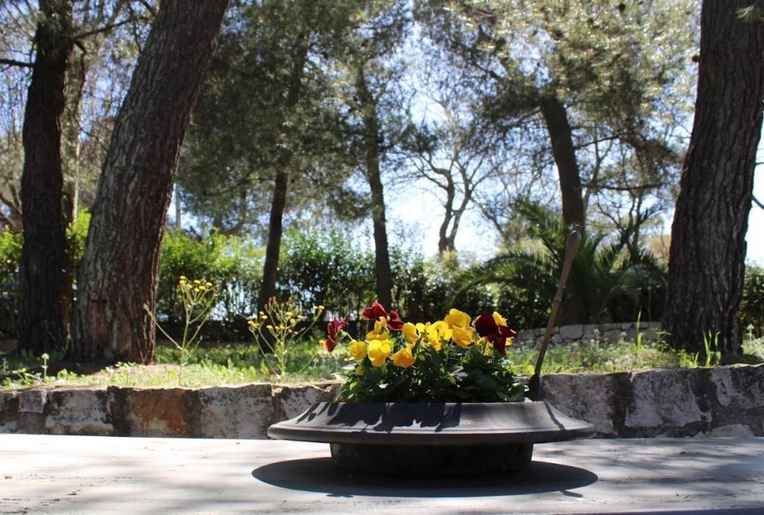 Trulli Pinnacoli Locorotondo Dış mekan fotoğraf